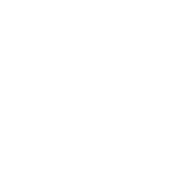 The Ritz-Carlton Residences Palm Beach Gardens Instagram Icon